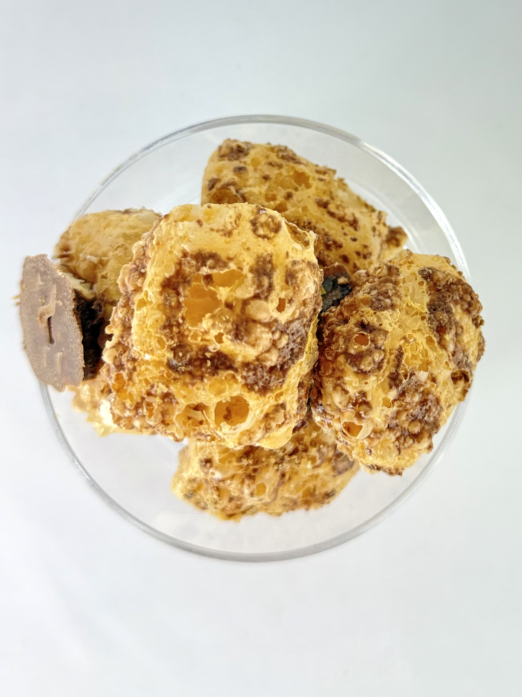 Freeze Dried Chocolate Caramel Cookies: Twigz - Image 3